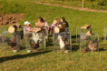 /album/fotogaleria-farsky-den-2026/783899151-4362691007209310-6702028615751799218-n-jpg/